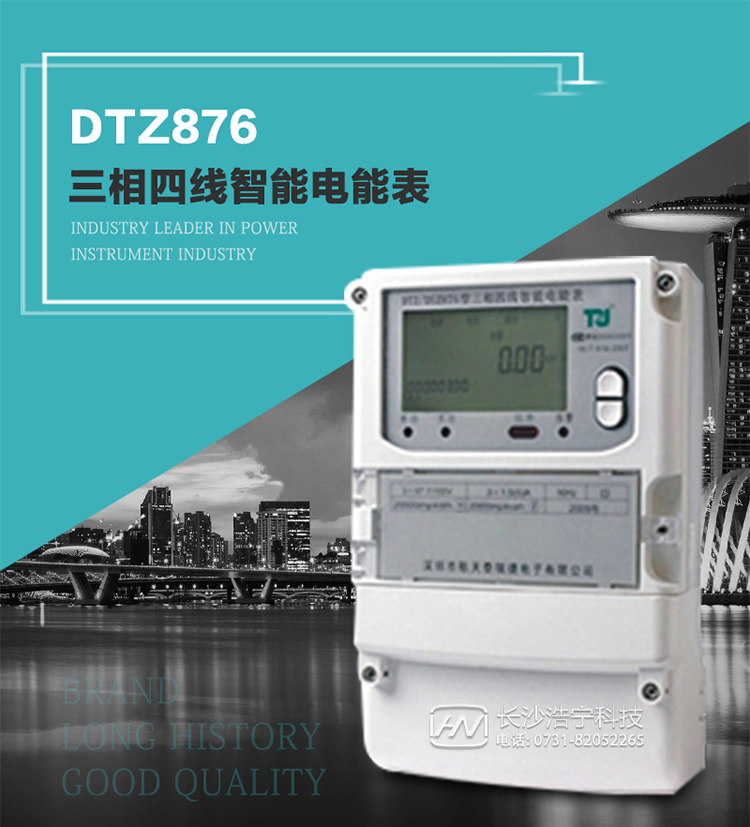 DTZ876型智能電能表是采用大規模集成電路，應用數字采樣處理技術(shù)及SMT工藝，根據工業(yè)用戶(hù)實(shí)際用電狀況所設計制造的具有現代先進(jìn)水平的儀表。
該表性能指標符合GB/T 17215.321-2008《交流電測量設備 特殊要求》第21部分靜止式有功電能表（1級和2級）、GB/T 17215.322-2008《交流電測量設備 特殊要求》第22部分靜止式有功電能表（0.2S級和0.5S級）國家標準和DL/T 614–2007《多功能電能表》標準，其通信符合DL/T645–2007《多功能電能表通信協(xié)議》的要求，并兼容DL/T645–1997《多功能表通信規約》的要求，可根據功能定制需求符合多功能電能表的各項技術(shù)要求。
